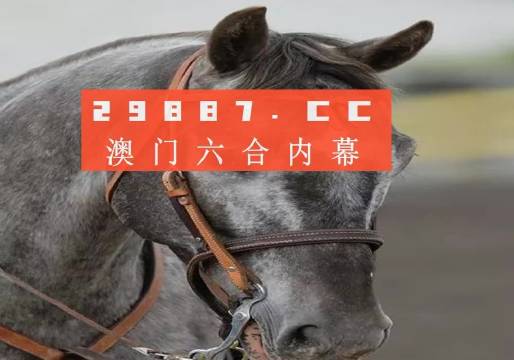 资讯 第233页