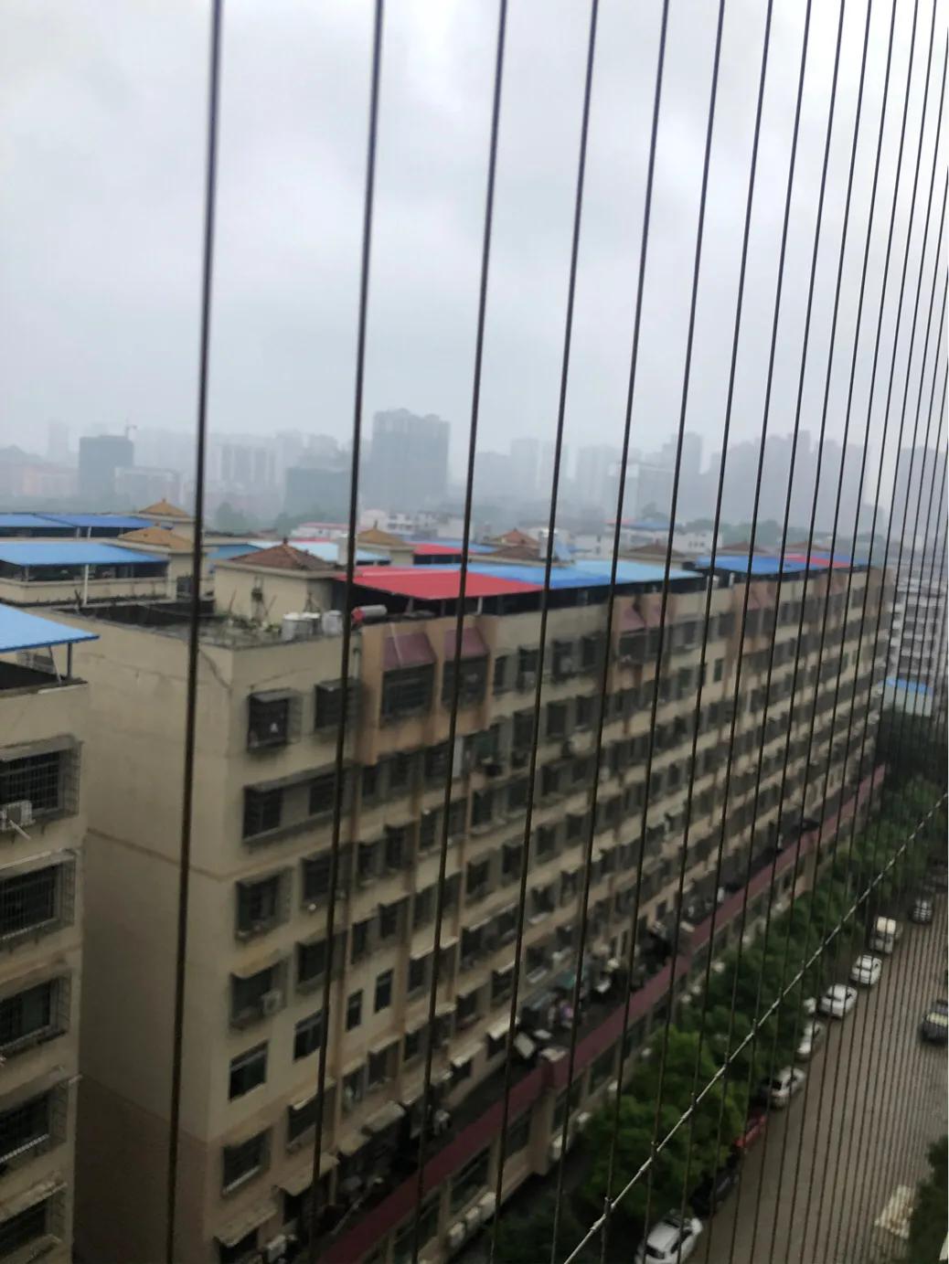 香港四不像图正版资料大全,香港四不像图正版资料大全，深度解析与探索