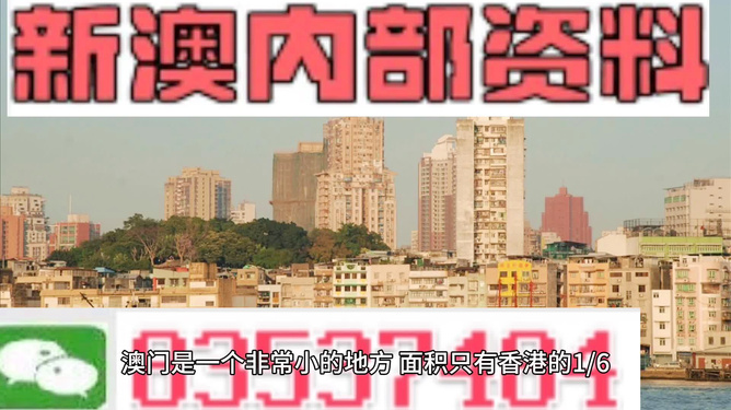 新澳门全年资料内部公开,新澳门全年资料内部公开，深度探索与揭秘