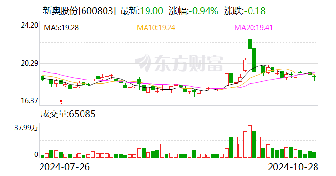 新奥天天正版资料大全,新奥天天正版资料大全详解
