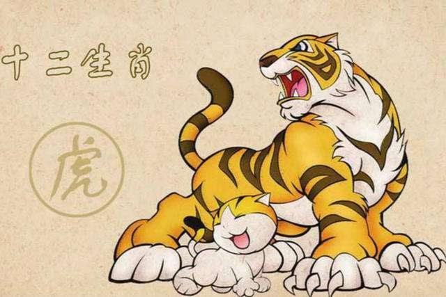 四不像玄机解特图,揭秘四不像玄机与解特图的奥秘