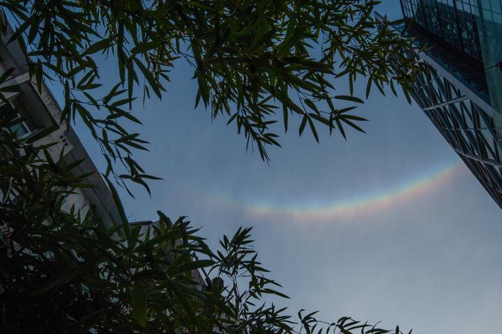 天空彩正版免费资料,探索天空彩正版免费资料的世界