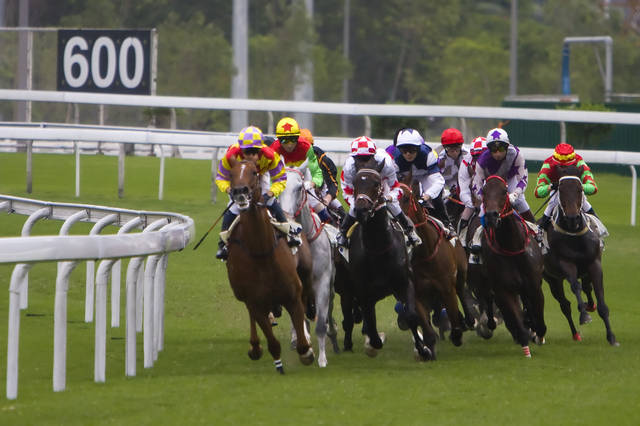 香港今晚开什么特马,香港今晚开什么特马，探索赛马世界的奥秘与激情
