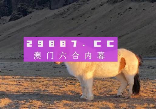 澳门今晚最准一肖一码,澳门今晚最准一肖一码——探索预测背后的秘密