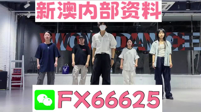 新澳天天彩免费资料大全亮点,新澳天天彩免费资料大全亮点，探索与解析