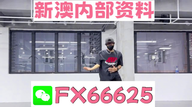 管家婆精准一码一肖揭秘,管家婆精准一码一肖揭秘，探寻背后的秘密与真相