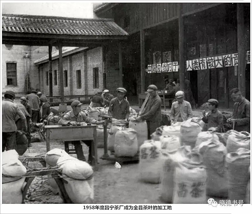 118免费正版资料大全,探索与发现，关于118免费正版资料大全的全方位解读