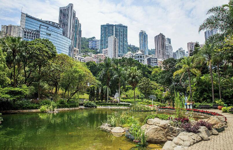 香港2025最准马资料免费,香港2025最准马资料免费，深度解析与免费获取途径