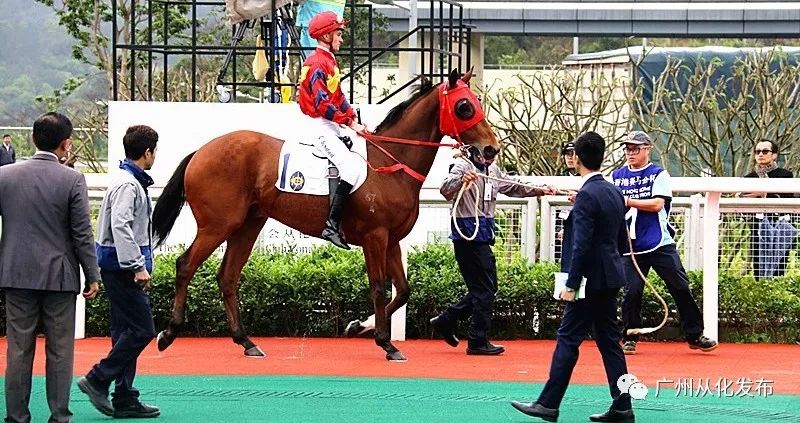 2025今晚香港开特马,香港特马盛宴，期待今晚2025年的精彩瞬间