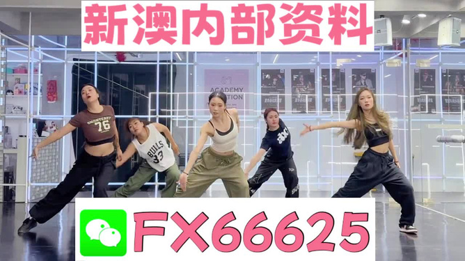 澳门王中王一肖一中一码,澳门王中王一肖一中一码，探索神秘的游戏世界
