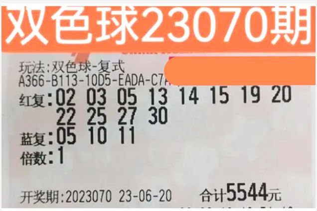 2025澳门精准正版免费,澳门正版免费彩票的未来展望，走向精准预测与可持续发展（2025展望）