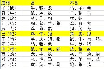 2025年12生肖49码图,探索2025年十二生肖与49码图的神秘交融