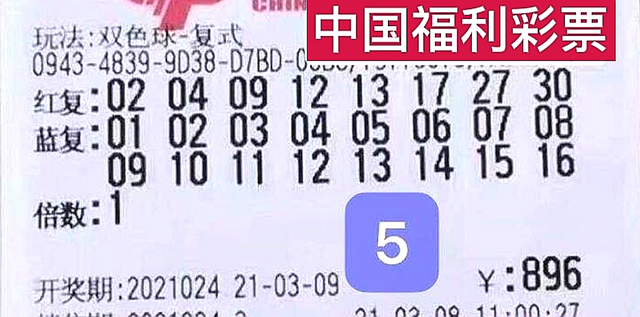 白小姐今晚特马开奖结果,白小姐今晚特马开奖结果揭晓，激情与期待的交汇点