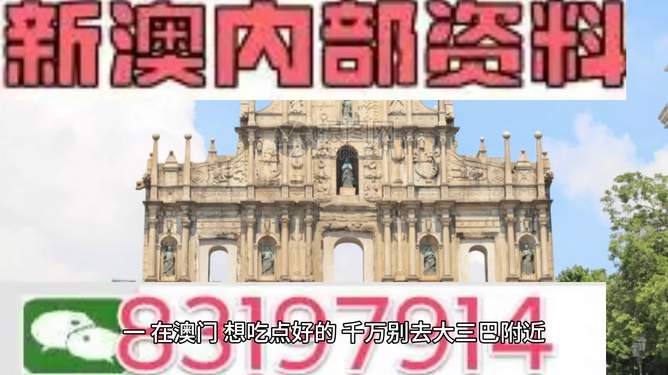 澳门正版资料全年免费公开精准资料一,澳门正版资料全年免费公开精准资料一，深度解读与实际应用