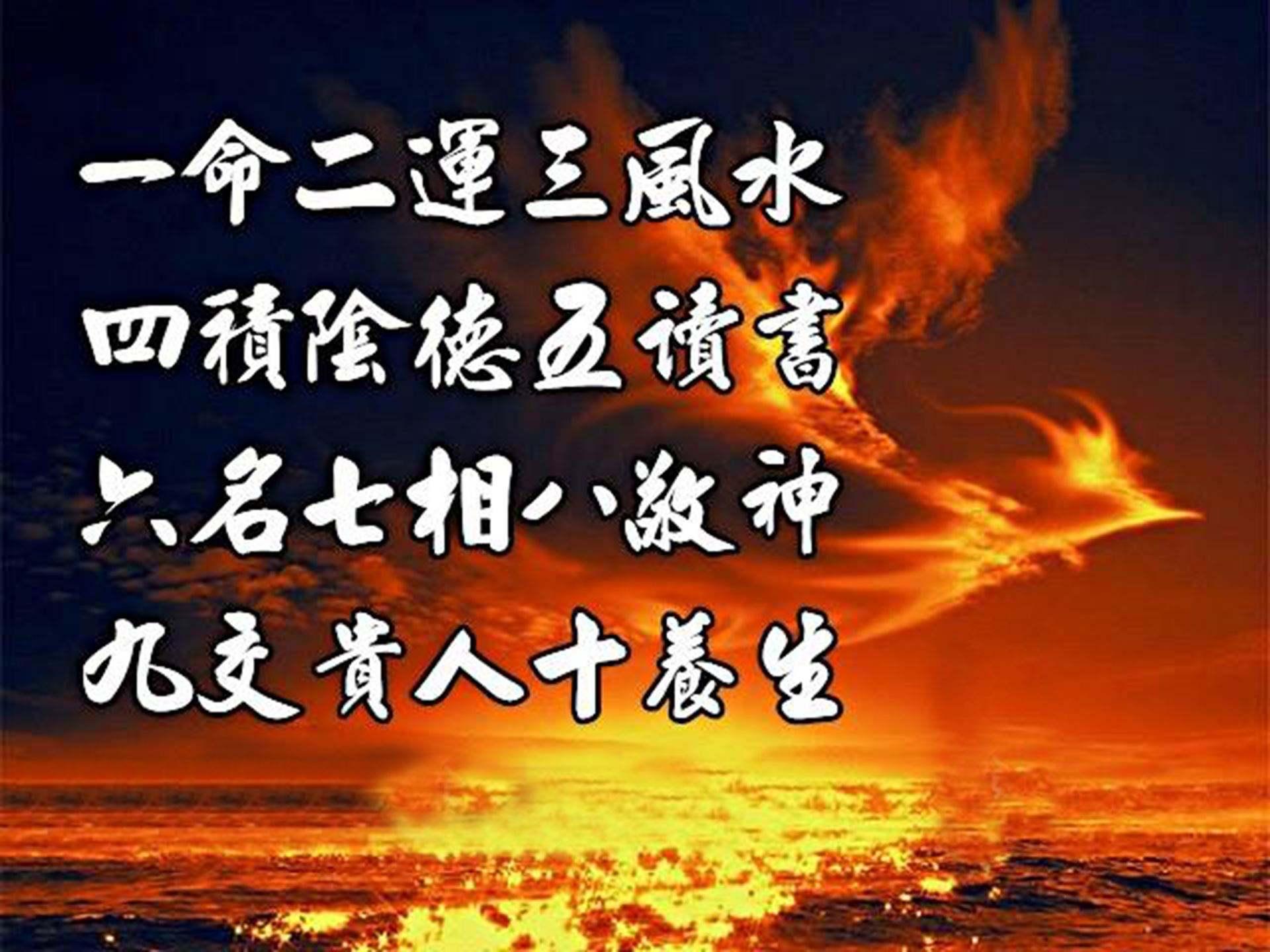 四肖八肖期期准资料长期免费,四肖八肖期期准资料长期免费，揭秘背后的秘密与真相