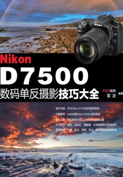 王中王免费资料大全中奖技巧,王中王免费资料大全及中奖技巧解析