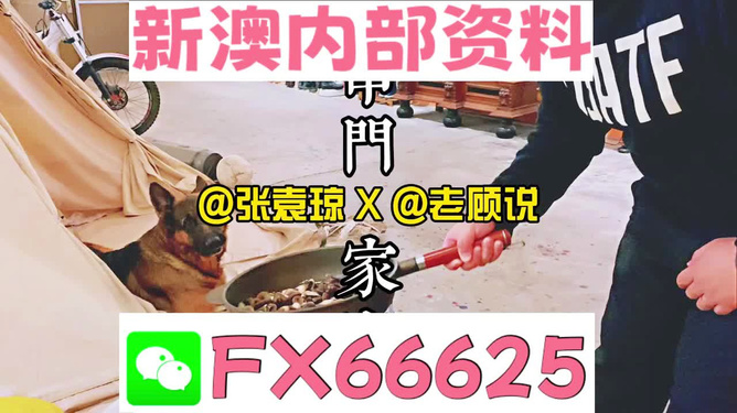 管家婆2023正版资料大全,管家婆2023正版资料大全，探索其价值和重要性