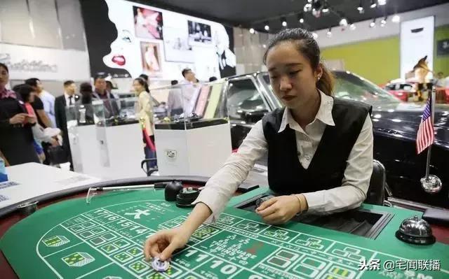 澳门天天彩免费大全,澳门天天彩免费大全——探索彩票世界的魅力