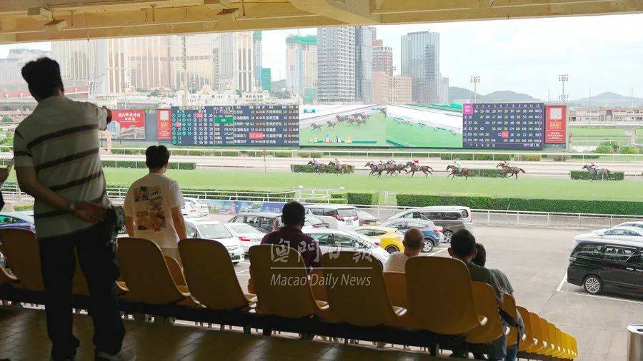 2022澳门特马今晚开奖现场实况,2022澳门特马今晚开奖现场实况——紧张刺激的瞬间