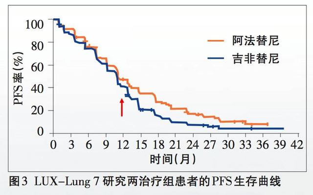 2025新澳精准极限二肖,探索未来，2025新澳精准极限二肖的魅力与挑战