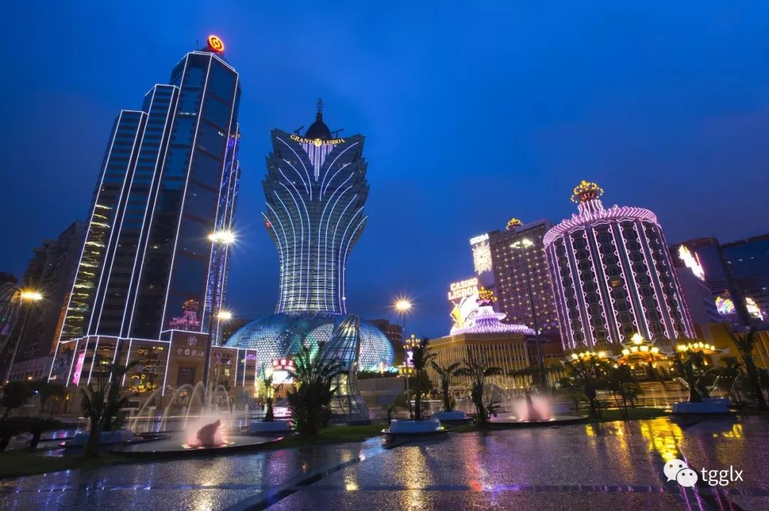 澳门新奥每天资料,澳门新奥每日资料概览