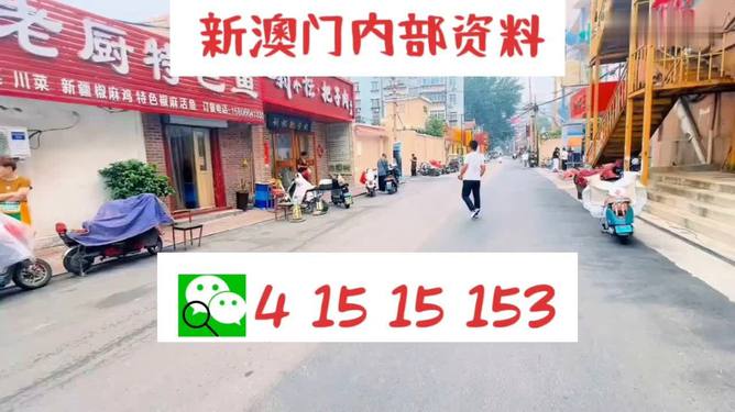 2004新奥门天天开好彩,新澳门2004年天天开好彩的繁荣景象