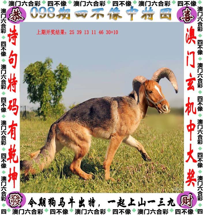 2025今晚最准四不像,探索未来，今晚最准的2025四不像展望
