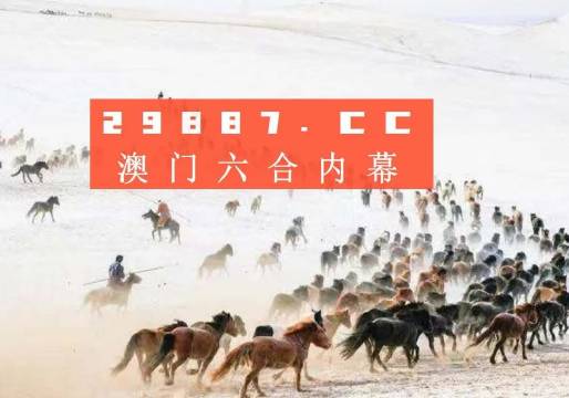 4949澳门特马今晚开奖,澳门特马今晚开奖——期待与激情的交汇点