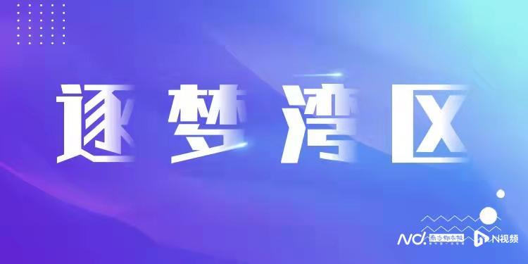 新澳门天天彩2025年全年资料,新澳门天天彩2025年全年资料解析与探讨