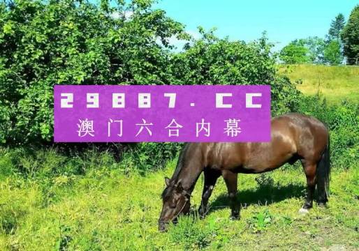 澳门一肖一码一一子,澳门一肖一码一一子的探索与奥秘