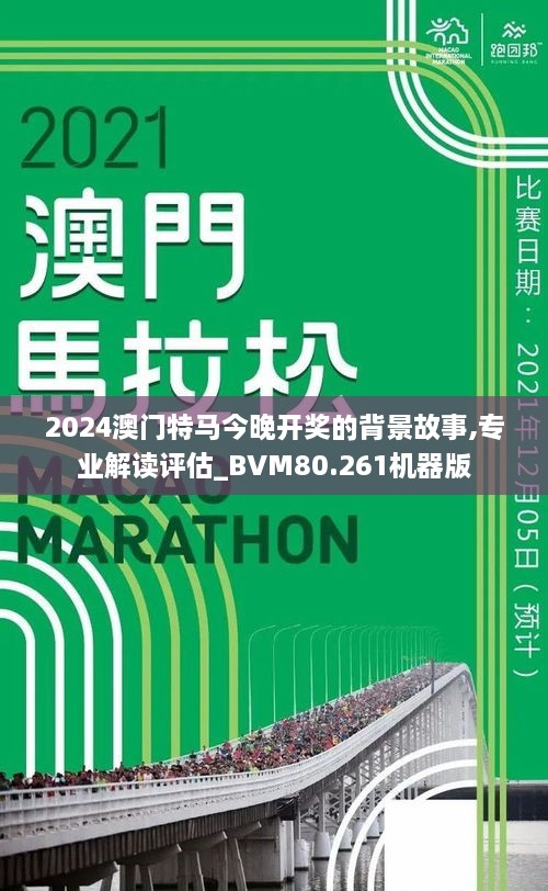 2025澳门特马今晚开什么,澳门特马今晚开什么——探索随机性与预测的边缘