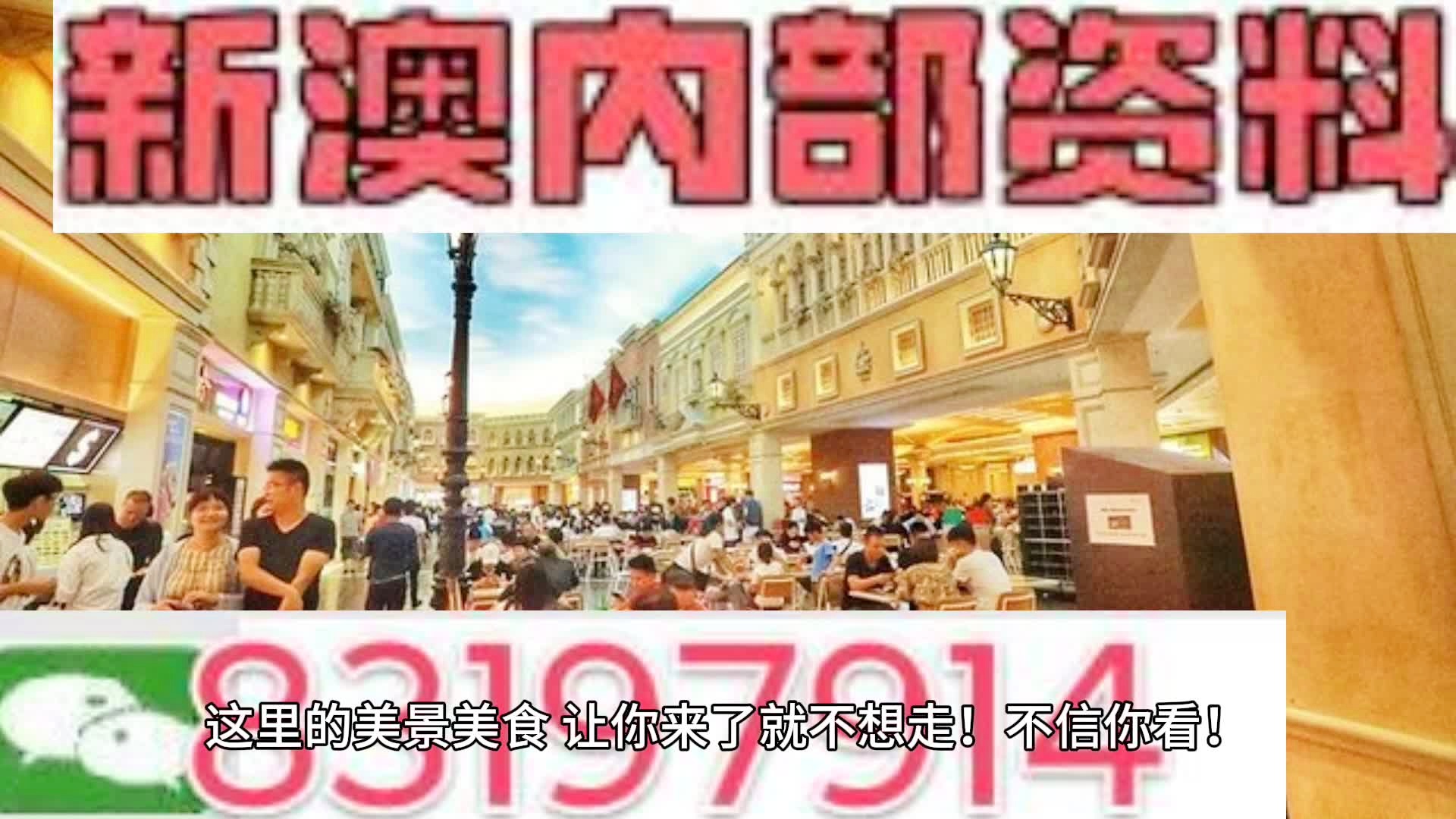 澳门内部王中王精准资料,澳门内部王中王精准资料，揭秘与探索