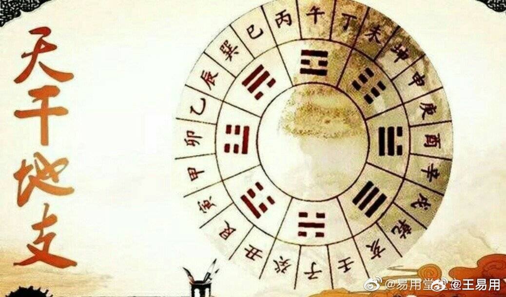 最准的一肖一码100%,揭秘最准的一肖一码，探寻命运密码的真相（1573字文章）