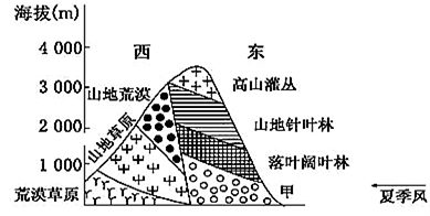 快评 第18页