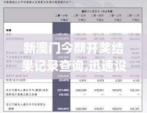 新澳历史记录查询结果,新澳历史记录查询结果