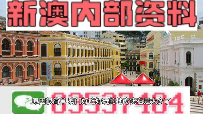 新澳门内部一码最精准公开,新澳门内部一码最精准公开，探索真实与精准的世界
