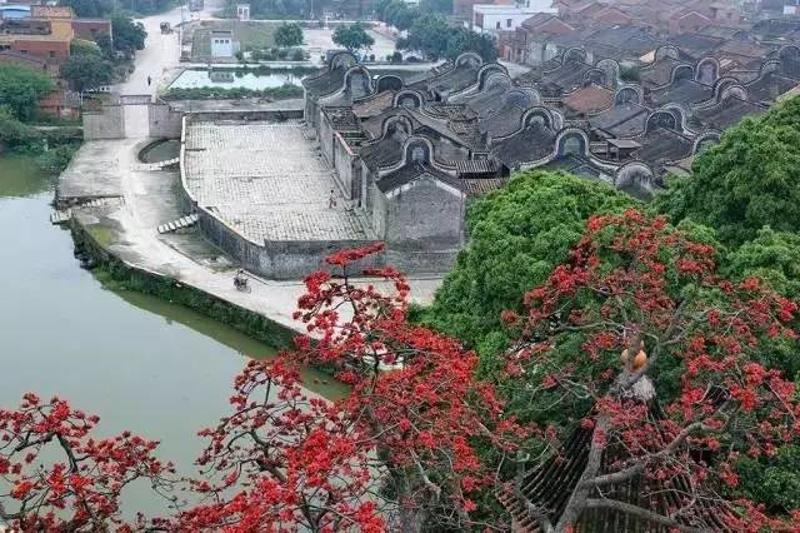 快评 第7页