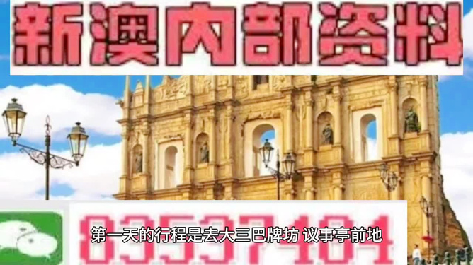 新澳门内部精准二肖,新澳门内部精准二肖，探索与解析
