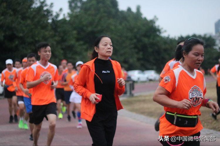 澳门今晚上开的什么特马,澳门今晚的马特彩研究，探索彩票背后的文化现象